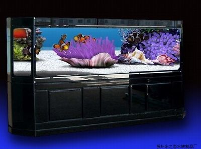 魚缸性價(jià)比推薦（佳璐超白魚缸） 魚缸性價(jià)比推薦（佳璐超白魚缸） 魚缸百科 第2張