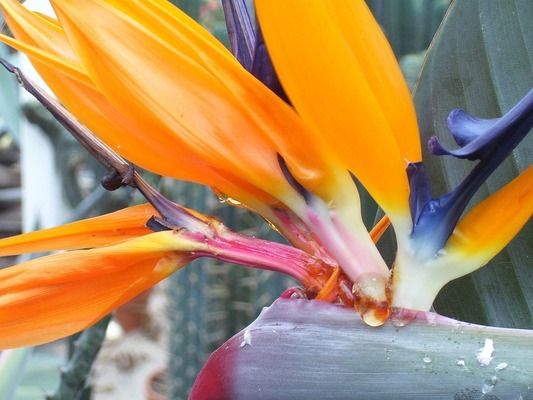 魚缸的水泵不工作原理是什么：如何防止魚缸水泵電機燒毀修復方法 魚缸的水泵不工作原理是什么：如何防止魚缸水泵電機燒毀修復方法 魚缸百科 第2張