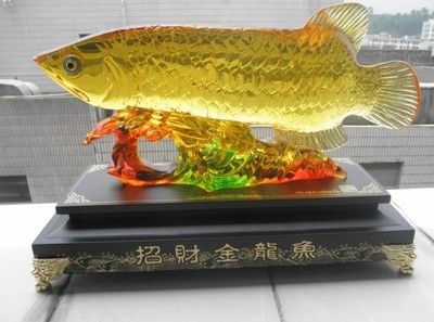 銀色金龍魚多少錢：銀色金龍魚和普通金龍魚的價格