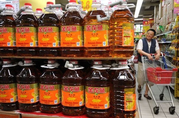 金龍魚 目標價怎么算出來的（金龍魚成本分析） 金龍魚 目標價怎么算出來的（金龍魚成本分析） 龍魚百科 第3張