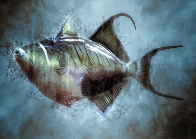 瑞龍魚缸是正規還是仿，瑞龍魚缸是否為正規品牌