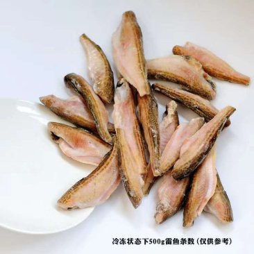 【重慶龍魚價(jià)格重慶龍魚圖片重慶龍魚轉(zhuǎn)讓】