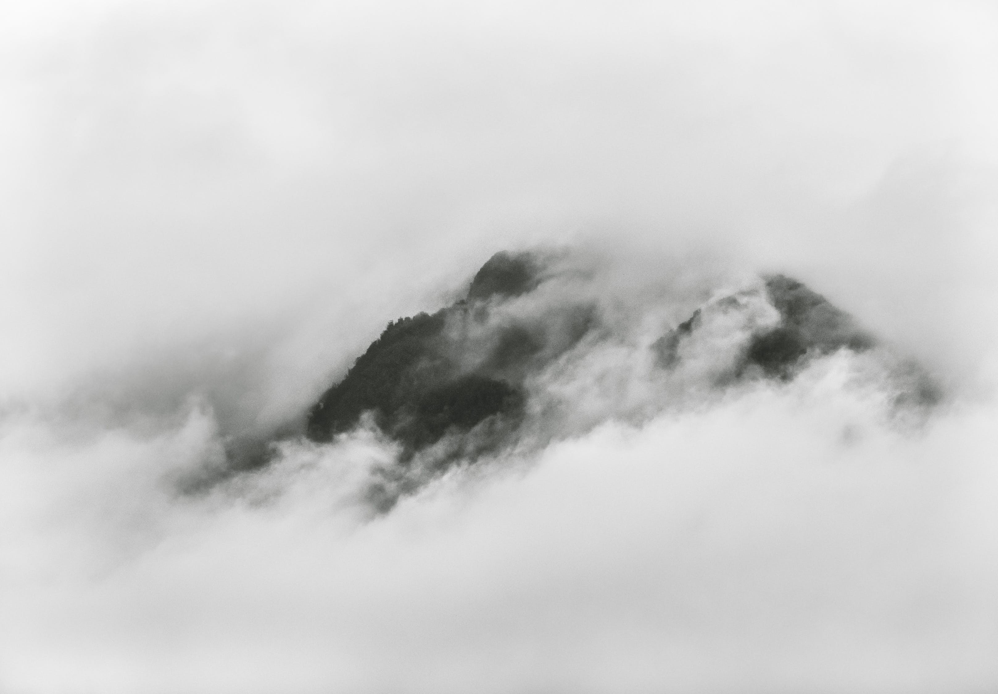 白山市<strong><mark>江源</mark></strong>區孫家堡子宏澤水族館