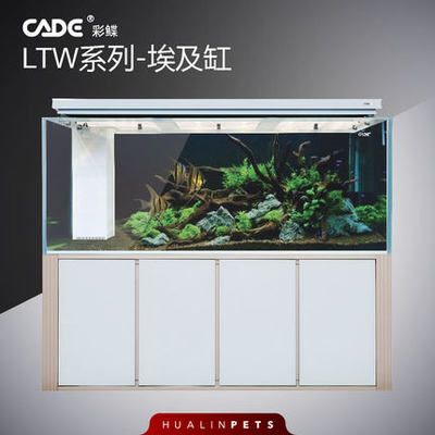 彩蝶魚缸官網專賣店地址