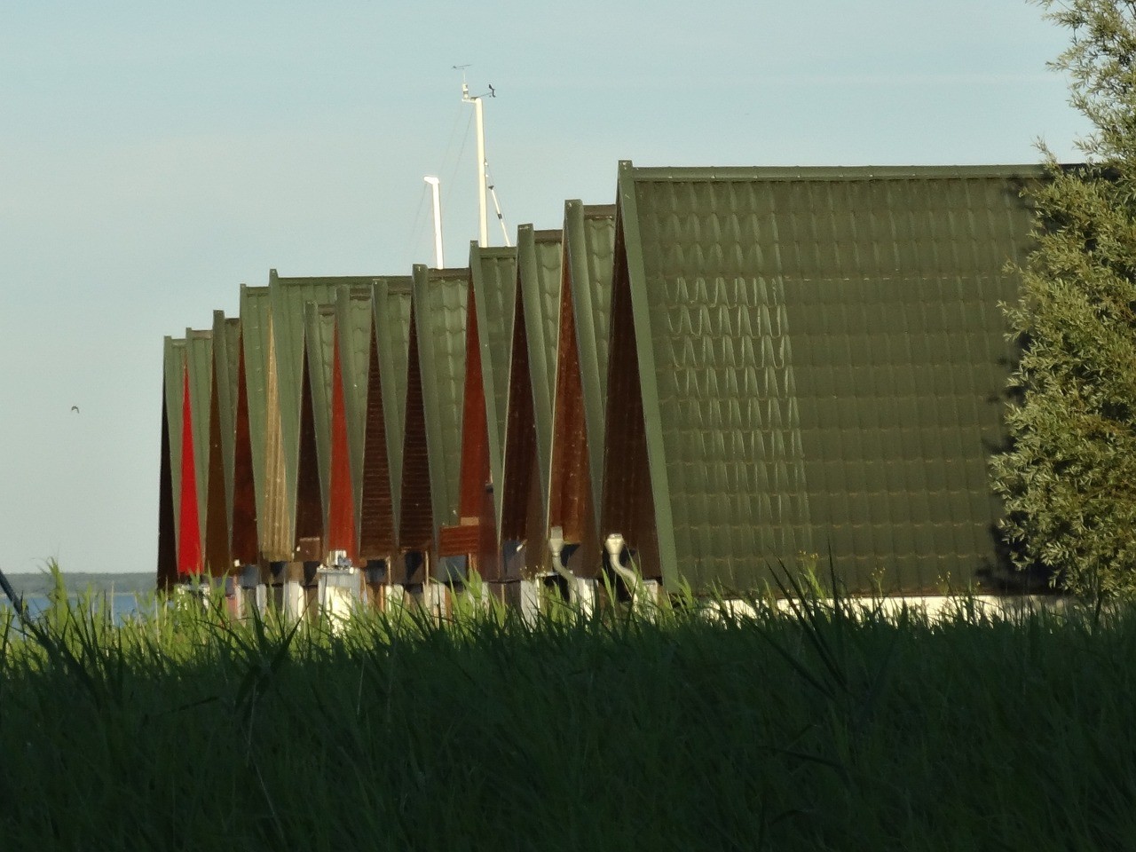 河南金恒人造景觀有限公司（河南金恒人造景觀有限公司怎么樣） 河南金恒人造景觀有限公司（河南金恒人造景觀有限公司怎么樣） 全國水族館企業(yè)名錄 第1張