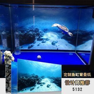 龍魚魚缸背景圖：高清龍魚魚缸背景圖大全
