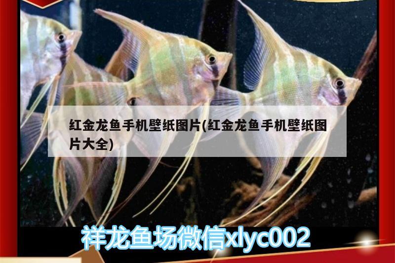 <strong><mark>吉林</mark></strong>省曦為彤想商貿有限公司