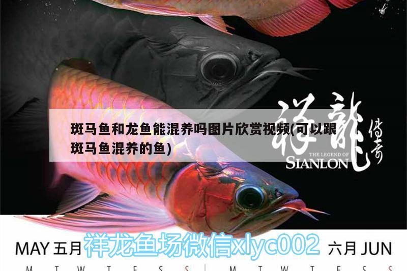 吉林省曦為彤想商貿有限公司