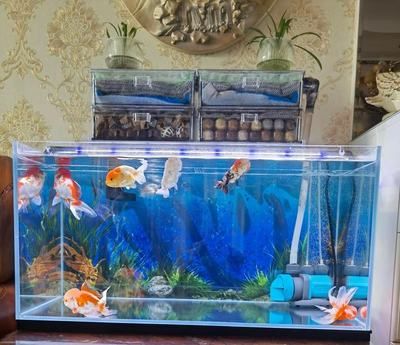 下過濾魚缸安裝方法圖解法視頻：“下過濾魚缸安裝方法圖解法圖解法視頻”視頻教程