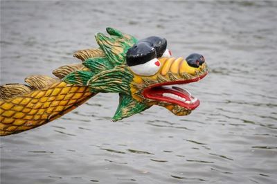 夢見龍和魚是什么預兆：周公解夢：夢見龍和魚的預兆 夢見龍和魚是什么預兆：周公解夢：夢見龍和魚的預兆 龍魚百科 第2張