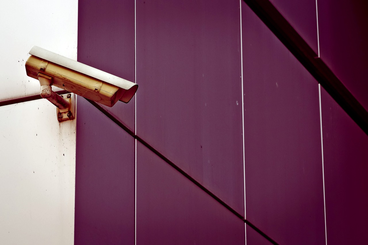 高新區(qū)（新市區(qū)）阿勒泰路永紅觀賞魚店 高新區(qū)（新市區(qū)）阿勒泰路永紅觀賞魚店 全國水族館企業(yè)名錄 第1張