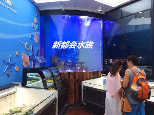 廣州定做大型魚缸多少錢一個月魚缸養護秘籍魚缸養護秘籍：廣州定做大型魚缸多少錢一個月養護秘籍魚缸養護秘籍 廣州定做大型魚缸多少錢一個月魚缸養護秘籍魚缸養護秘籍：廣州定做大型魚缸多少錢一個月養護秘籍魚缸養護秘籍 魚缸百科 第1張