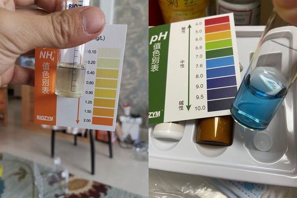如何檢測魚缸氨氮含量：如何檢測魚缸的氨氮含量 如何檢測魚缸氨氮含量：如何檢測魚缸的氨氮含量 魚缸百科 第5張