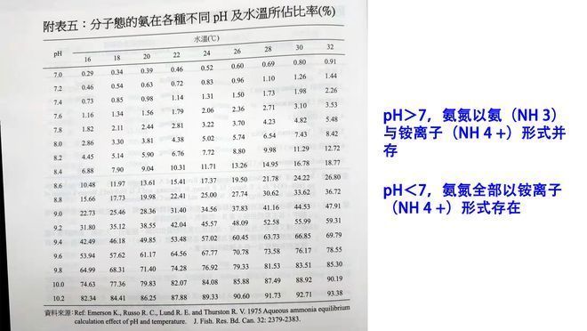 如何檢測魚缸氨氮含量：如何檢測魚缸的氨氮含量 如何檢測魚缸氨氮含量：如何檢測魚缸的氨氮含量 魚缸百科 第2張