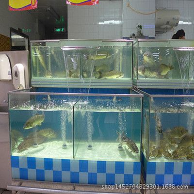 選擇海鮮店魚缸供應商時應注意以下幾點注意以下幾點：如何選擇合適的海鮮店魚缸