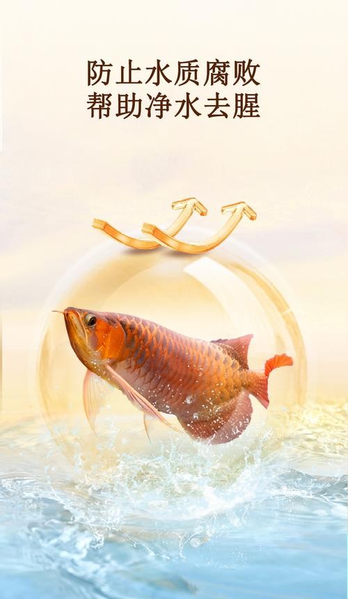 龍魚魚缸壁紙