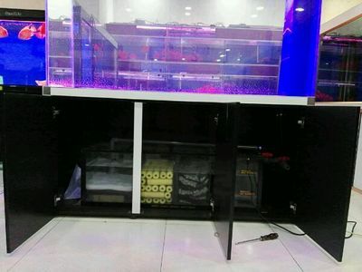 魚店魚缸定制（魚店魚缸定制的詳細信息）