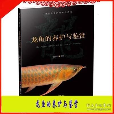 龍魚繁殖技術有哪些方法：龍魚的繁殖技術有哪些方法