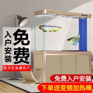 龍魚專用魚缸怎么做好看：如何制作一個美觀的龍魚專用魚缸