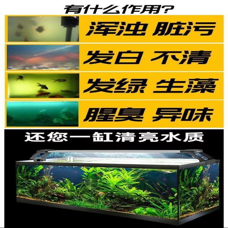 魚缸養(yǎng)魚文案（魚缸養(yǎng)魚）