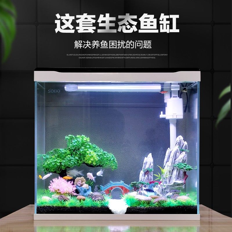 魚缸養(yǎng)魚文案（魚缸養(yǎng)魚）