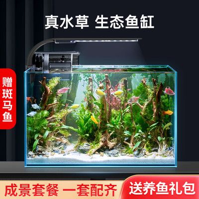 魚缸養(yǎng)魚文案（魚缸養(yǎng)魚）