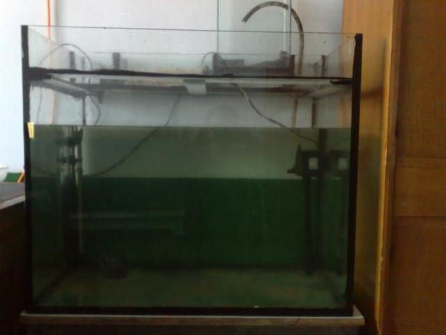 底濾魚缸溢流管怎么拆下來（底濾魚缸溢流管拆卸方法取決于溢流管的具體結構和材質） 底濾魚缸溢流管怎么拆下來（底濾魚缸溢流管拆卸方法取決于溢流管的具體結構和材質） 魚缸百科 第4張