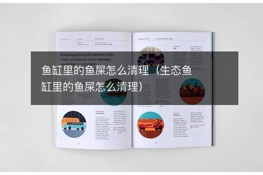 魚缸大便怎么清理，如何正確使用虹吸管清理魚缸大便