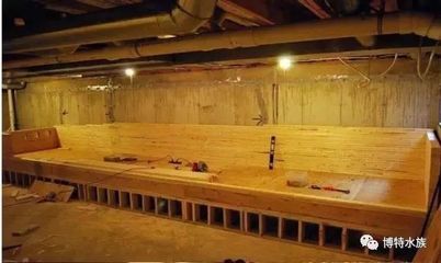 木板魚缸：如何選擇適合的木材，木板魚缸的日常維護(hù)技巧