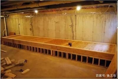 木板魚缸：如何選擇適合的木材，木板魚缸的日常維護(hù)技巧