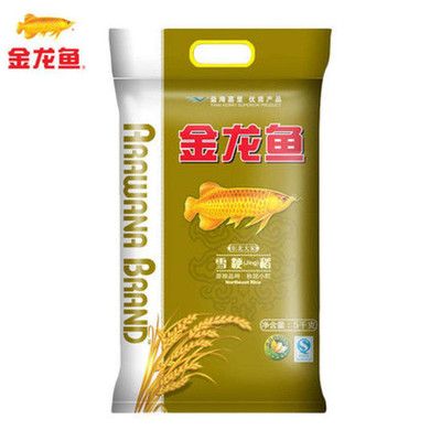 雪金龍魚：30篇雪金龍魚市場價(jià)格雪金龍魚市場價(jià)格雪金龍魚特征 雪金龍魚：30篇雪金龍魚市場價(jià)格雪金龍魚市場價(jià)格雪金龍魚特征 龍魚百科 第3張