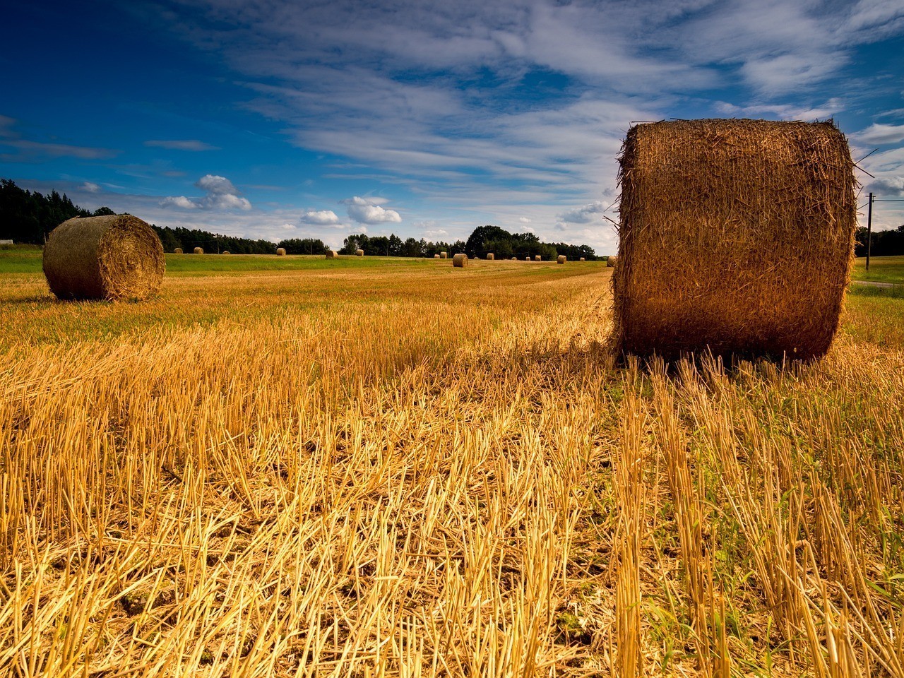 武漢市保保農(nóng)業(yè)技術(shù)推廣服務(wù)有限公司