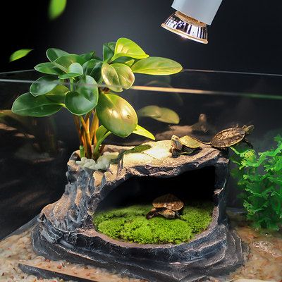 頂級(jí)魚(yú)缸品牌排行榜最新：頂級(jí)魚(yú)缸品牌排行榜