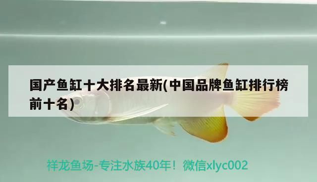 頂級(jí)魚(yú)缸品牌排行榜最新：頂級(jí)魚(yú)缸品牌排行榜