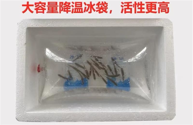 養旁皮魚缸需配什么燈：養旁皮魚缸需配什么燈，旁皮魚缸配置燈具的需求
