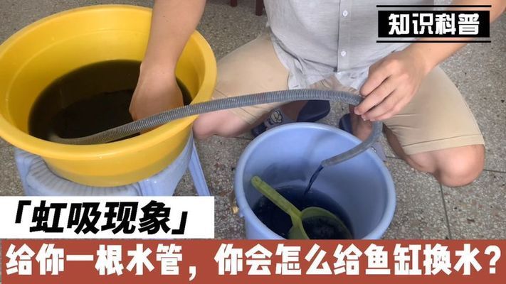 魚缸虹吸現象 三個征兆：如何預防魚缸虹吸現象