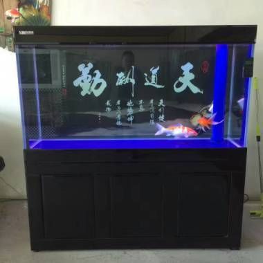 黑鉆魚缸加濾桶的價(jià)格范圍從幾百元到上千元不等：juwel德國(guó)黑鉆魚缸過(guò)濾桶