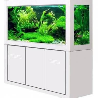 漢陽漁場的歷史與發展：武漢漢陽漁場的歷史與發展