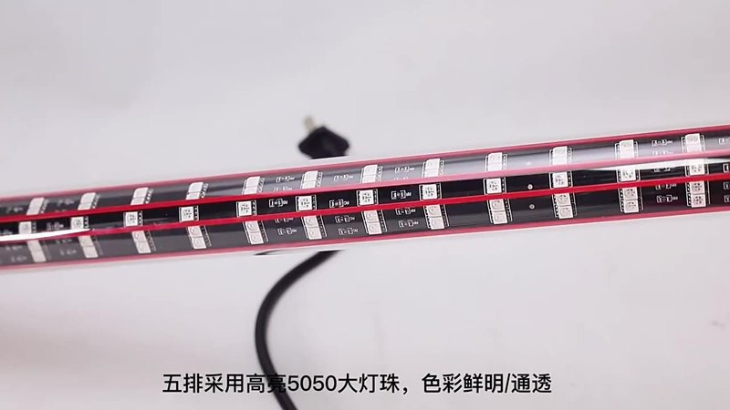 養金龍魚需要什么燈多少錢 養金龍魚需要什么燈多少錢 龍魚百科 第8張
