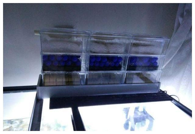 過濾桶魚缸濾材擺放位置（養魚技術：魚缸過濾桶的使用）