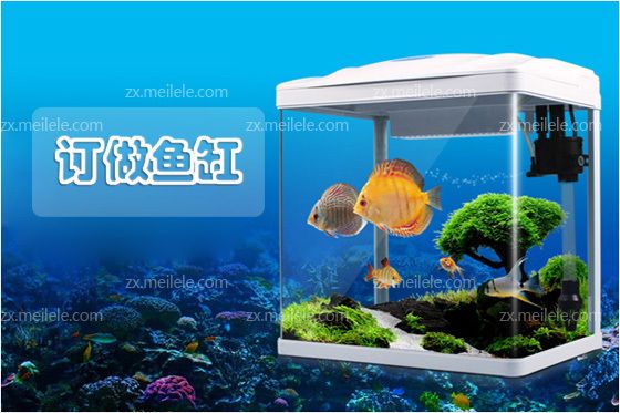 定制魚缸需要注意哪些問題：定制魚缸材質的選擇指南在定制時需要注意的事項