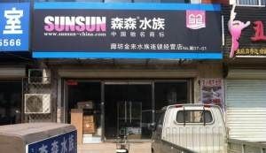 龍魚專賣店門頭圖片：龍魚專賣店門頭圖片查詢 龍魚專賣店門頭圖片：龍魚專賣店門頭圖片查詢 龍魚百科 第1張