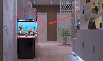 風(fēng)水學(xué)中的魚(yú)缸擺放秘籍：家居風(fēng)水中的魚(yú)缸布局秘籍