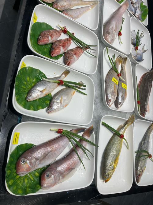 大連龍魚做法大全視頻圖片