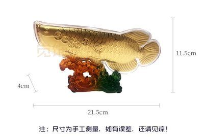 金龍魚尺寸怎么量圖解：如何測量金龍魚的尺寸