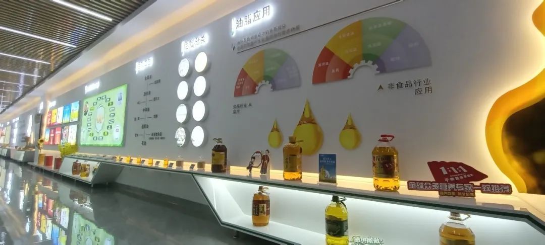 金龍魚尺寸怎么量圖解：如何測量金龍魚的尺寸
