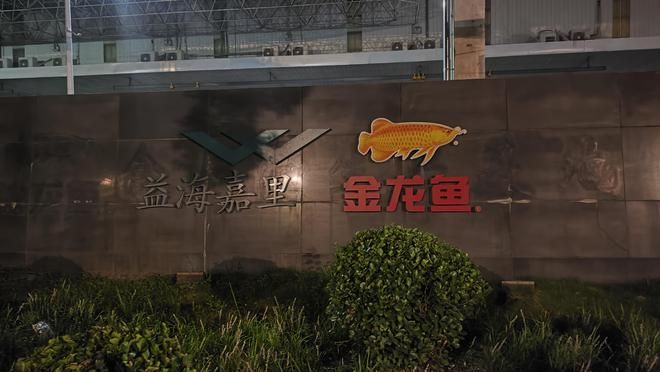 金龍魚尺寸怎么量圖解：如何測量金龍魚的尺寸