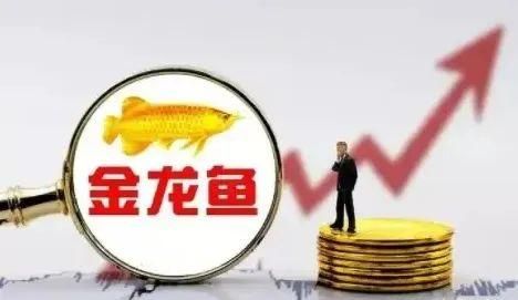 金龍魚尺寸怎么量圖解：如何測量金龍魚的尺寸