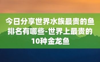 最貴的黃金龍魚多少錢一條圖片（最貴的黃金龍魚價格可以達到580萬元人民幣） 最貴的黃金龍魚多少錢一條圖片（最貴的黃金龍魚價格可以達到580萬元人民幣） 龍魚百科 第4張