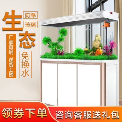 龍魚貴不貴呀怎么看出來的：金龍魚和紅龍魚價格在幾百元到幾千元之間
